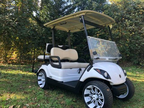 2016 Yamaha Drive gas golf cart [fuel injected] for sale