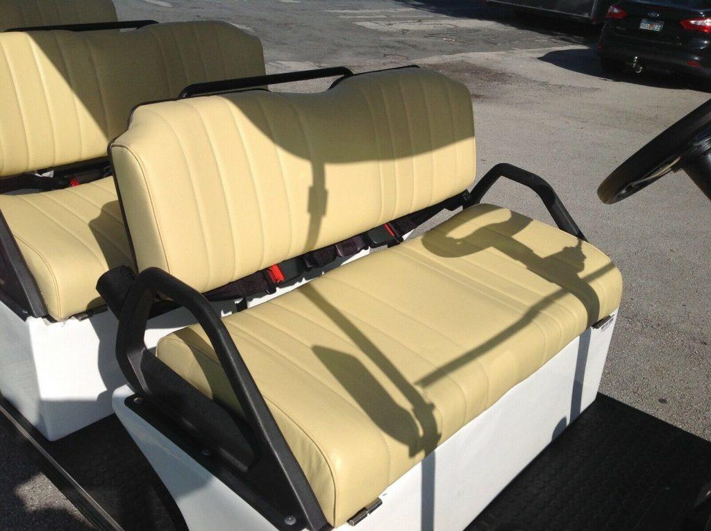 2019 Evolution Golf Cart [8 passenger limousine]