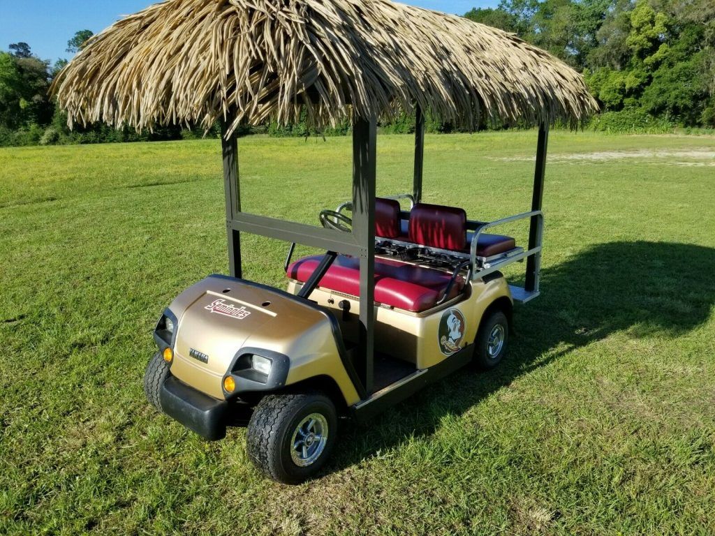 2004 Yamaha gas golf cart [custom tiki hut]
