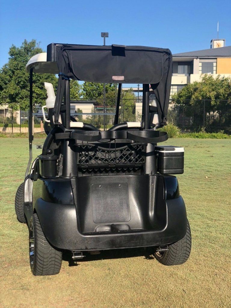 2018 Club Car Precedent 48V Electric Golf Cart [new batteries]