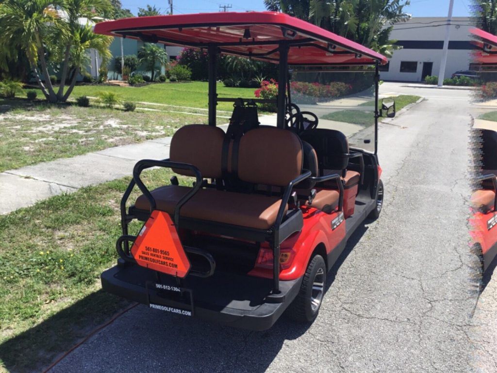 2020 Advanced EV golf cart [well equipped]