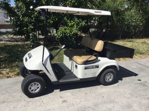 2010 EZGO utility golf cart [good shape] for sale