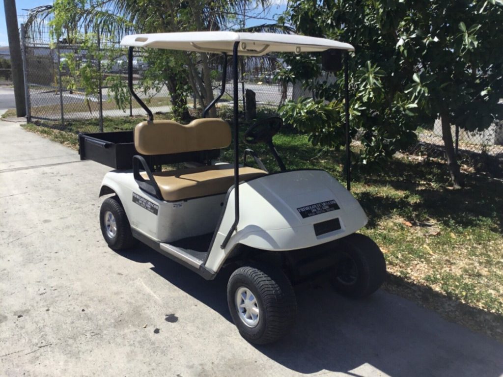 2010 EZGO utility golf cart [good shape]
