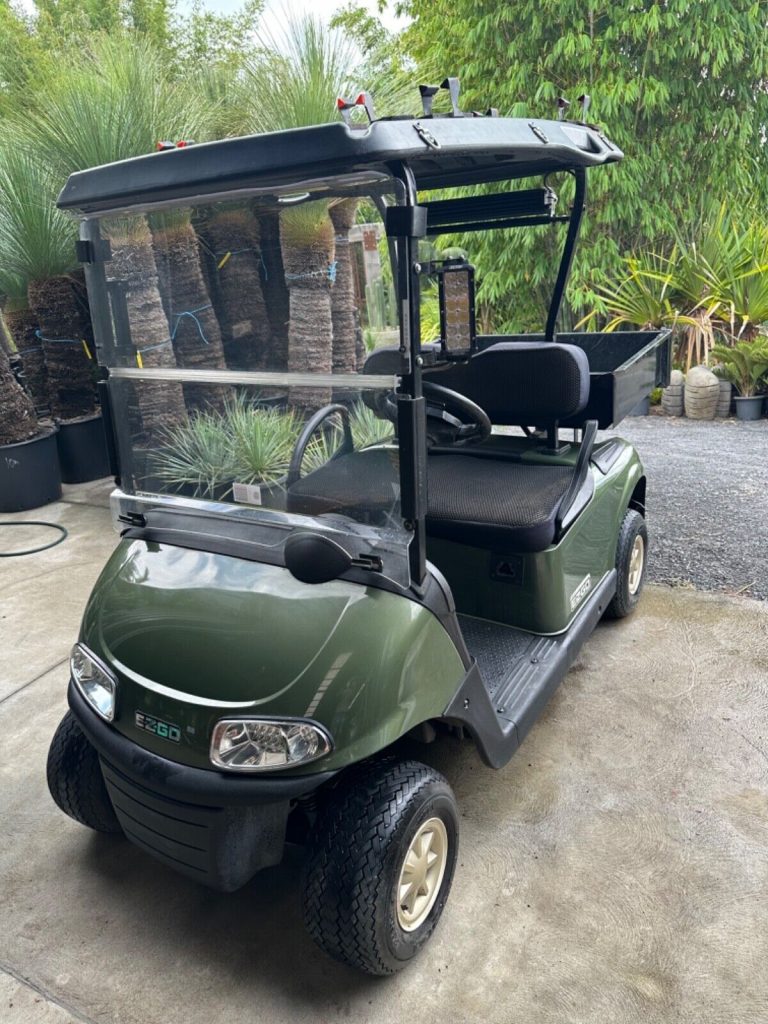 2019 EZGO Electric Golf Cart [good shape]