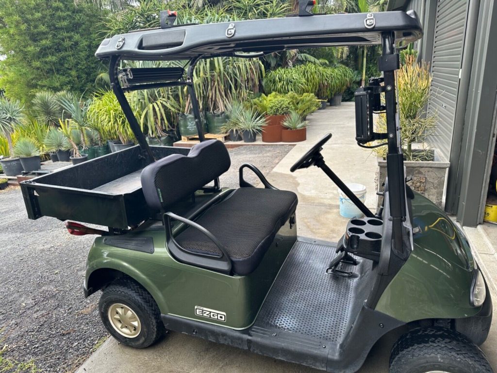 2019 EZGO Electric Golf Cart [good shape]