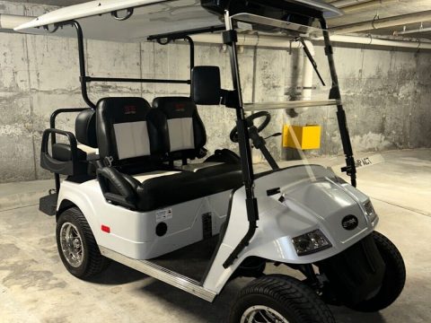 2017 Star EV SS golf cart [new batteries] for sale
