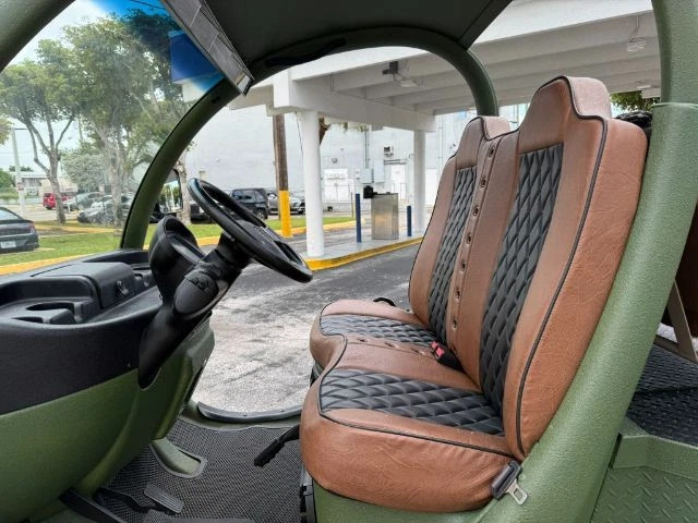 2011 GEM EL – New Batteries Fully Customized HD Stereo