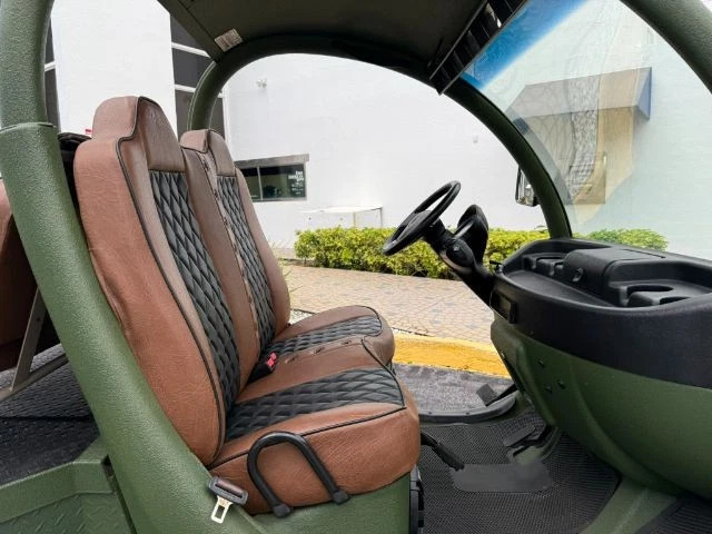 2011 GEM EL – New Batteries Fully Customized HD Stereo