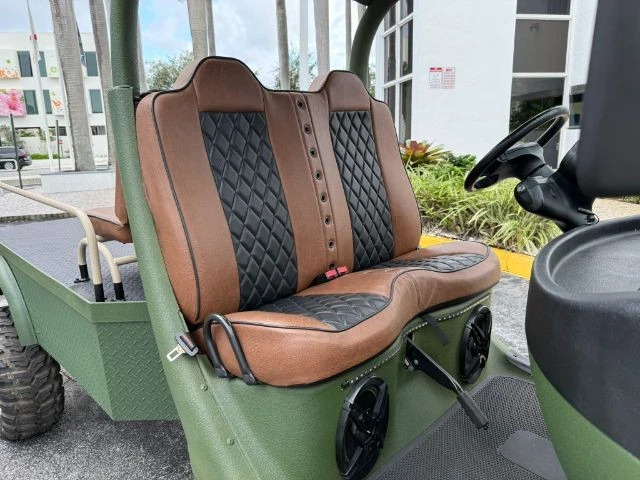 2011 GEM EL – New Batteries Fully Customized HD Stereo