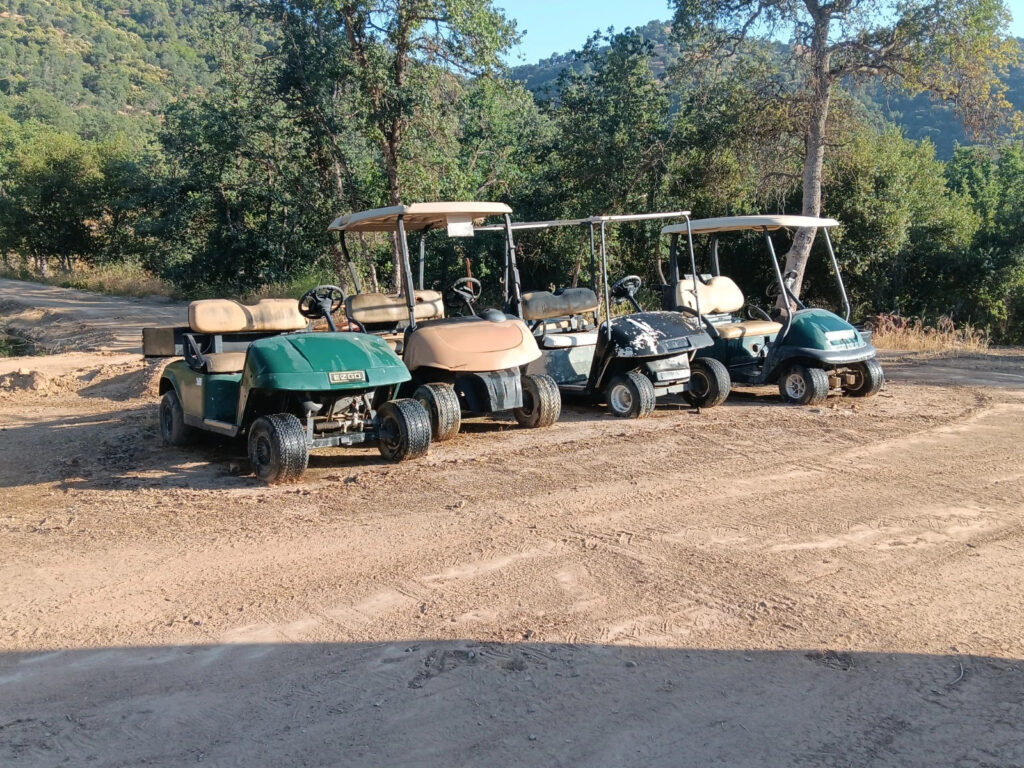 Golf Carts
