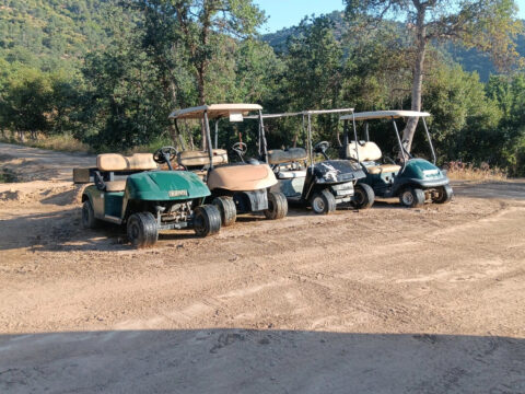 Golf Carts for sale