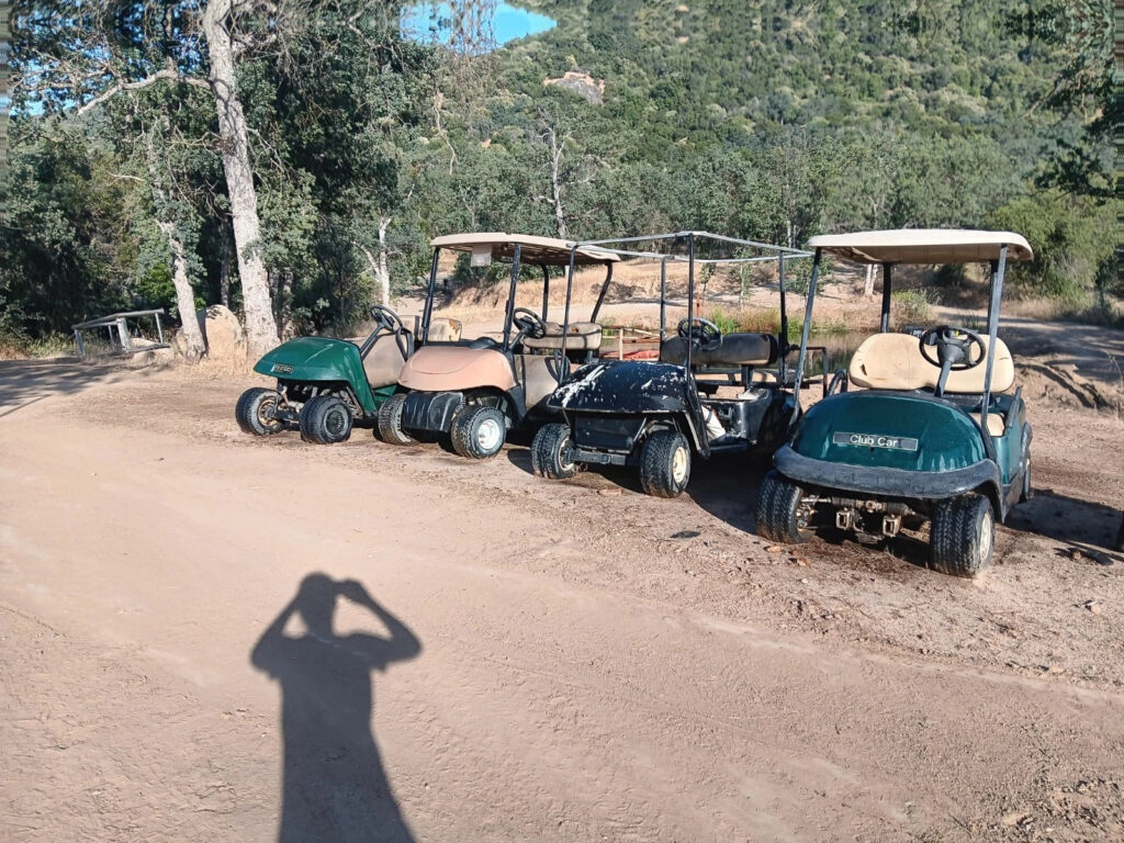 Golf Carts